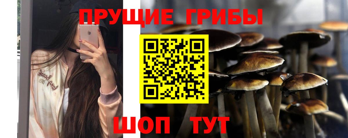 Псилоцибиновые грибы Psilocybe Мелеуз
